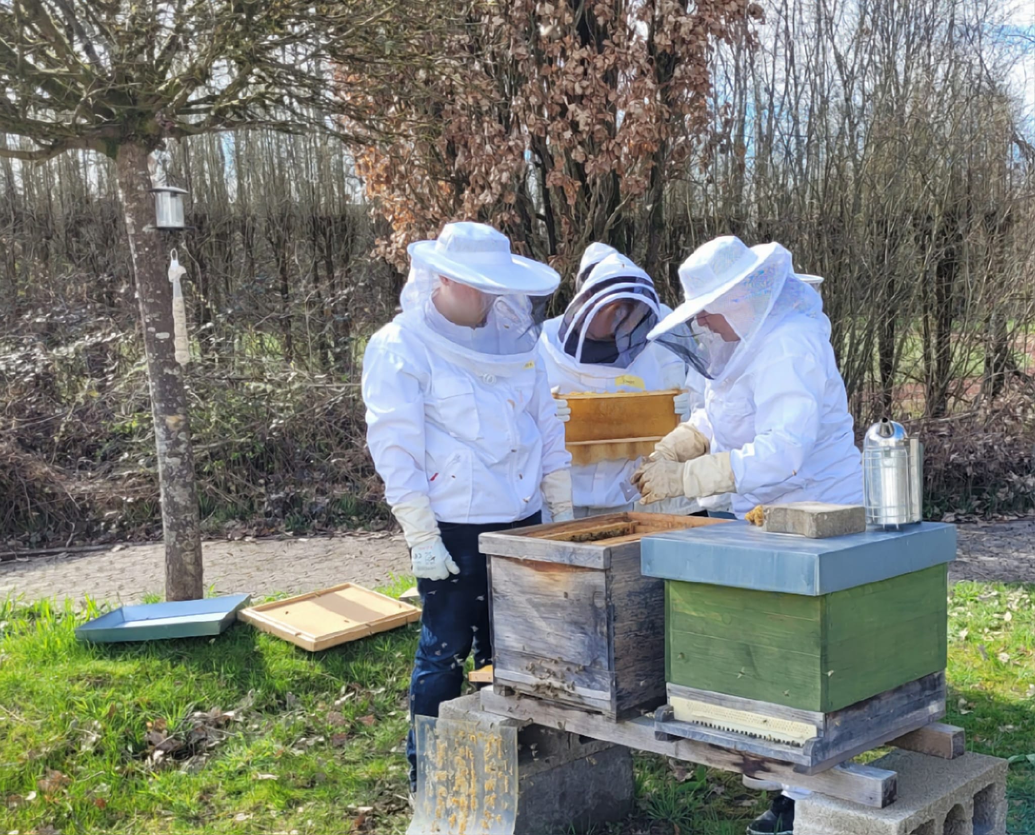 Kontrolle%20der%20Bienenv%C3%B6lker%20mit%20Frau%20Pantelmann Kontrolle%20der%20Bienenv%C3%B6lker%20mit%20Frau%20Pantelmann